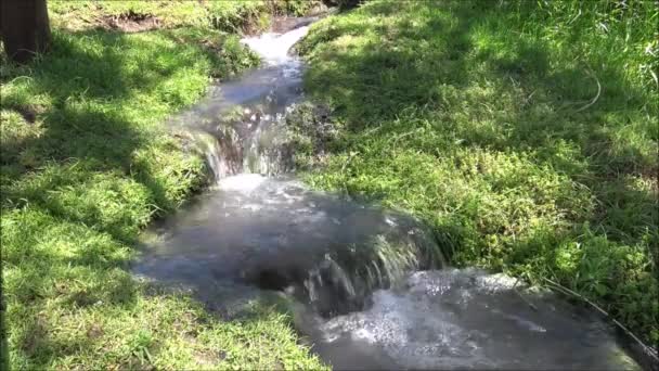Air terjun di sebuah taman di Santiago, Chili — Stok Video