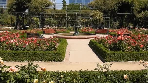 Rose Garden Fountain Araucano Park Santiago Chile — Stock Video