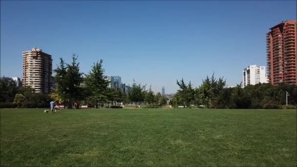 Пташиного Польоту Хуан Пабло Парк Сантьяго Чилі — стокове відео