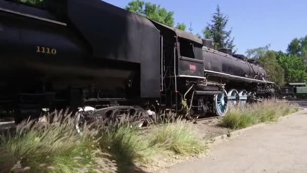 Old Train Parco Santiago Cile — Video Stock