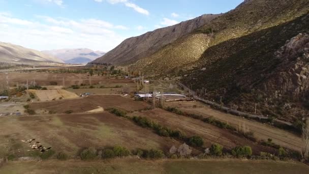 Vista Aérea Atividade Treinamento Cavalos Vale Montanha Chile — Vídeo de Stock