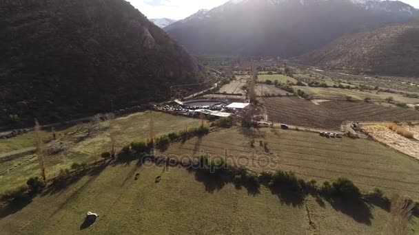 チリの山の谷で馬訓練活動の空撮 — ストック動画