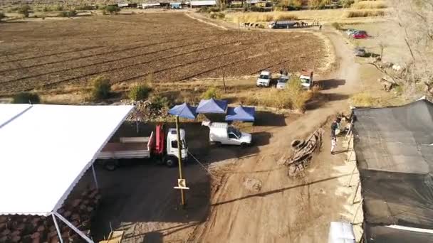 Вид Воздуха Тренировки Лошадей Горной Долине Чили — стоковое видео