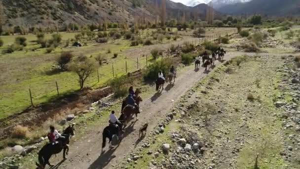 チリの山の谷で馬訓練活動の空撮 — ストック動画