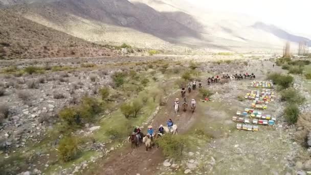 チリの山の谷で馬訓練活動の空撮 — ストック動画