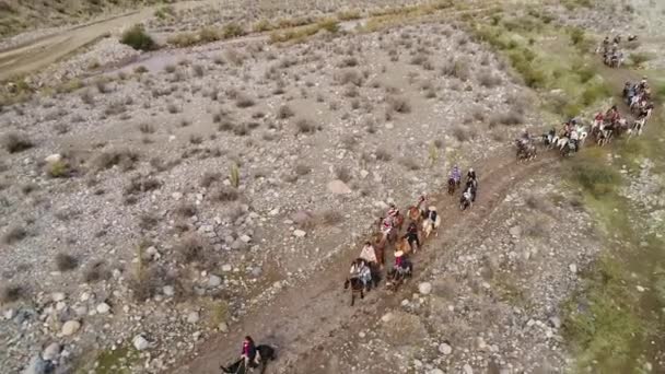 Veduta Aerea Dell Attività Addestramento Dei Cavalli Nella Valle Della — Video Stock