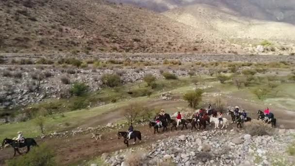 Vista Aérea Atividade Treinamento Cavalos Vale Montanha Chile — Vídeo de Stock