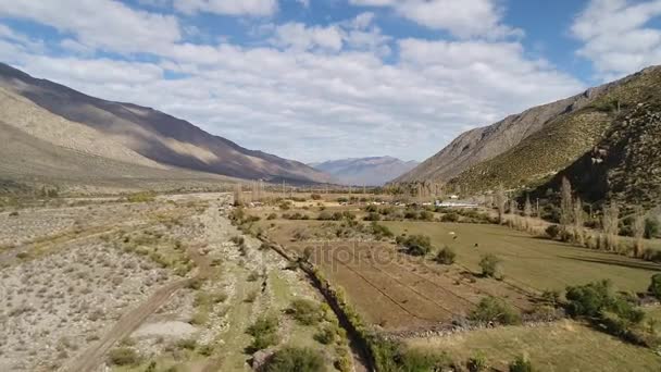 Vista Aérea Atividade Treinamento Cavalos Vale Montanha Chile — Vídeo de Stock