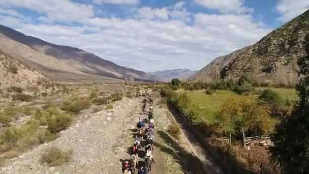 Luchtfoto Van Paard Opleiding Activiteit Bergdal Chili — Stockvideo