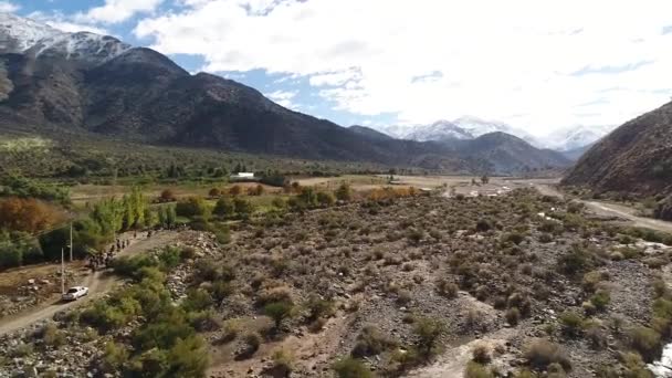 Vista Aérea Atividade Treinamento Cavalos Vale Montanha Chile — Vídeo de Stock