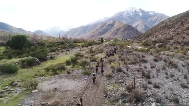 Luchtfoto Van Paard Opleiding Activiteit Bergdal Chili — Stockvideo