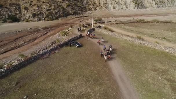 チリの山の谷で馬訓練活動の空撮 — ストック動画