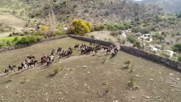 Aerial View Horse Training Activity Mountain Valley Chile — Stock Video