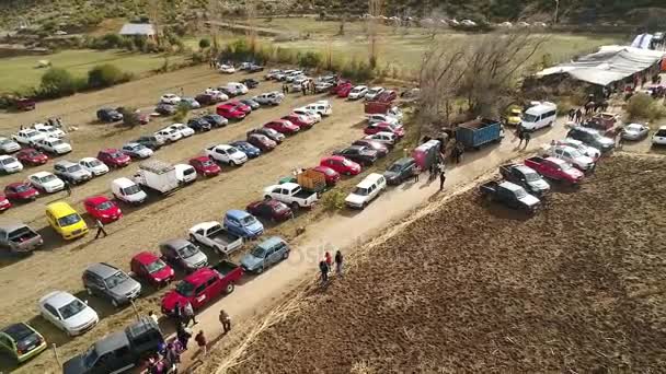 Vista Aérea Actividad Entrenamiento Caballos Valle Montañoso Chile — Vídeo de stock