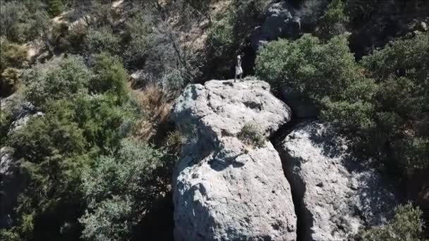 Dağ Manzarası Şili Kayalarda Havadan Görünümü — Stok video