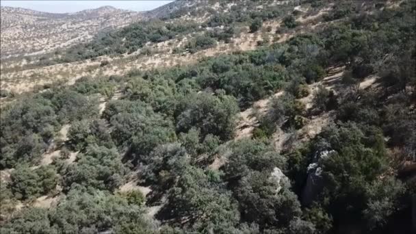 Aerial View Mountain Landscape Rocks Chile — Stock Video