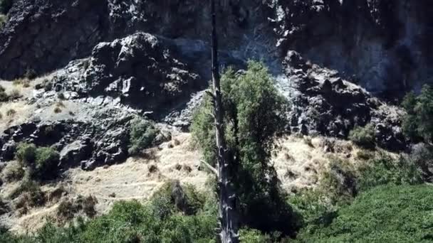Luftaufnahme Von Wasserfall Und Wald Santiago Chile — Stockvideo