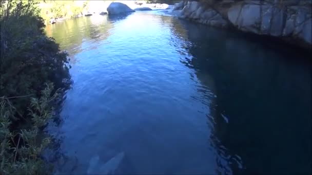 Paisagem Fluxo Água Rio — Vídeo de Stock