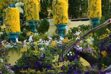 Tayland 'da bir parkta çiçekler.