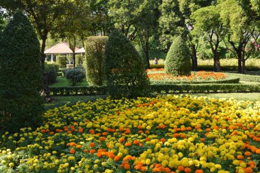 Tayland 'da bir parkta çiçekler.