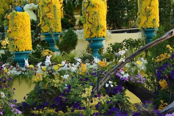 Flores Parque Tailandia —  Fotos de Stock