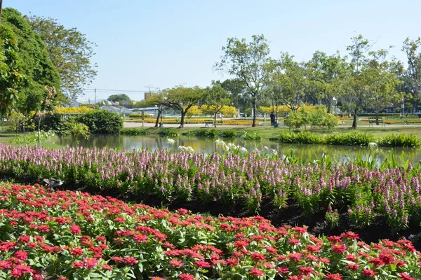 Flores Parque Tailândia — Fotografia de Stock