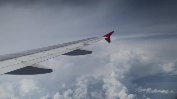 Luftaufnahme Aus Dem Flugzeug — Stockvideo