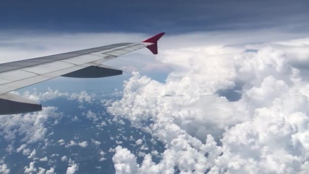 Vista Aérea Desde Avión — Vídeo de stock