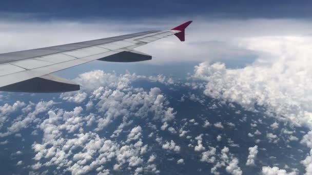 Luftaufnahme Aus Dem Flugzeug — Stockvideo