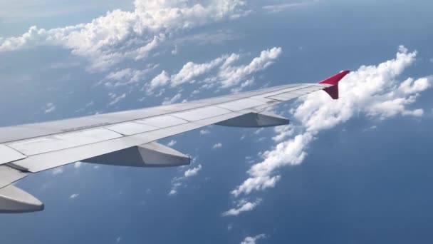 Légi Felvétel Repülőgépről — Stock videók