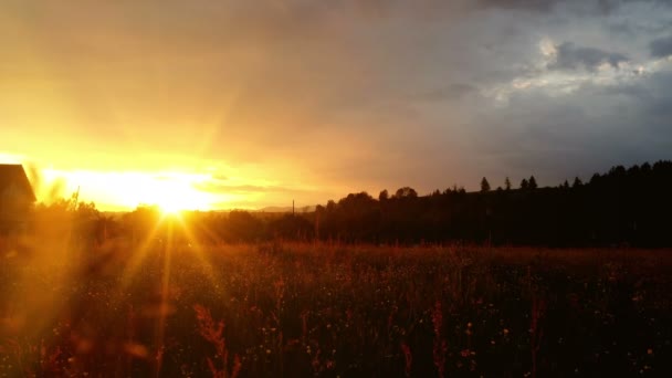 Magisk solnedgång över gröna ängen på landsbygden — Stockvideo