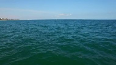 Karadeniz ve yüzen martılar üzerinde hava uçuş