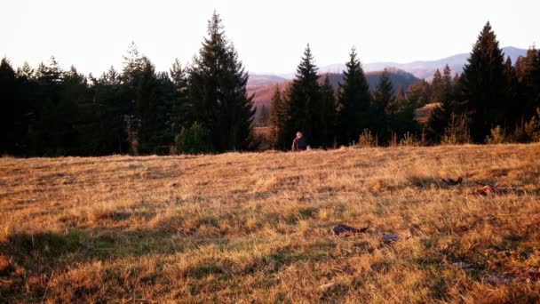 Vater und Sohn auf einer Wanderung, oben auf dem Hügel, Herbst — Stockvideo