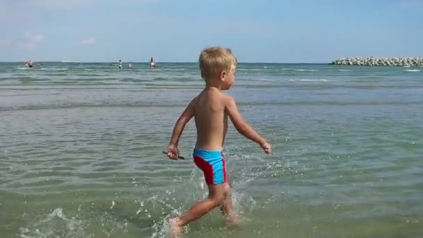 Маленький мальчик, весело на пляже, Констанца, Румыния — стоковое видео