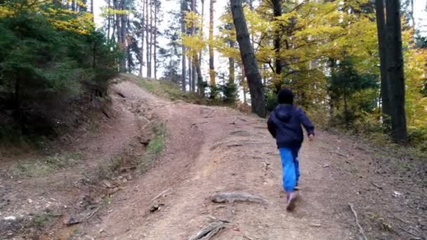 Little boy running in the woods — Stok Video