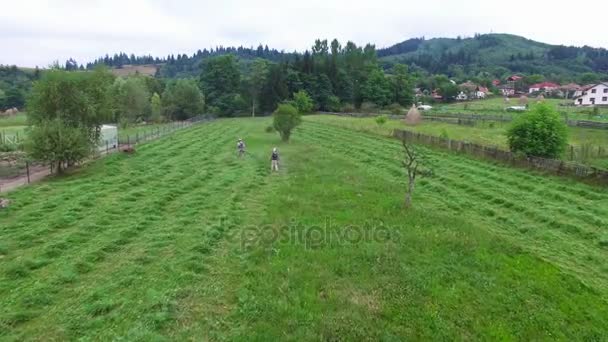 Lot nad ludźmi koszenie siana, zielonych wzgórz lasu — Wideo stockowe