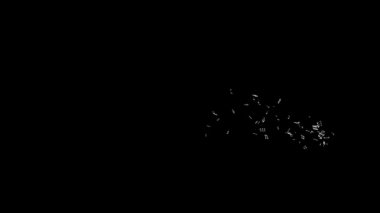 Müzik notlar uçan siyah karşı