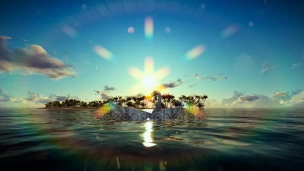 Svanar på vatten med tropisk ö i bakgrunden — Stockvideo