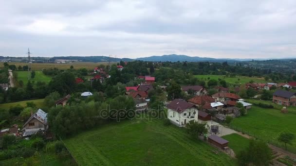 Luchtfoto vlucht van mannen maaien hooi met duiven doorgeven voor de camera — Stockvideo