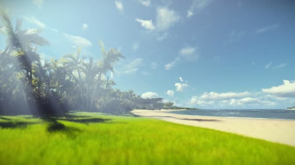 Tropical beach morning haze, resor kamera — Stockvideo