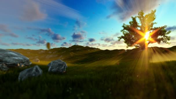 Tree of life on a green meadow, beautiful sun rays — Stock Video
