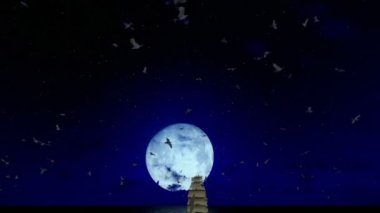 Eski korsan gemisi dolunay martılar, uçan ses dahil güzel yelken