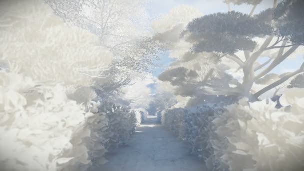 Jardín en invierno, sol brillante de papel — Vídeos de Stock