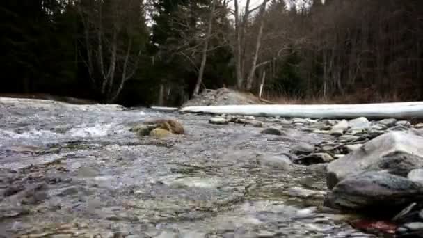 Fluxo de rio no inverno — Vídeo de Stock