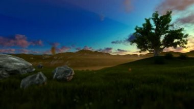 Hayat ağacı yeşil çayır, sabah sis üzerinde