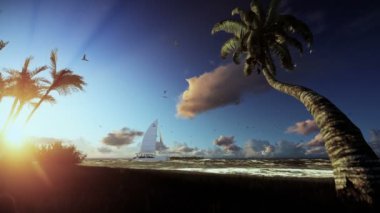 Tropik ada, rüzgarda palmiyeler ve güneş doğarken yelken yat
