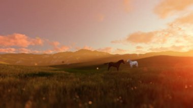 İki at üzerinde yeşil çayır, güzel gündoğumu