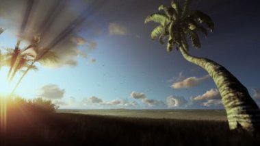 Tropikal peyzaj, rüzgarda sabah sis palmiye ağaçları