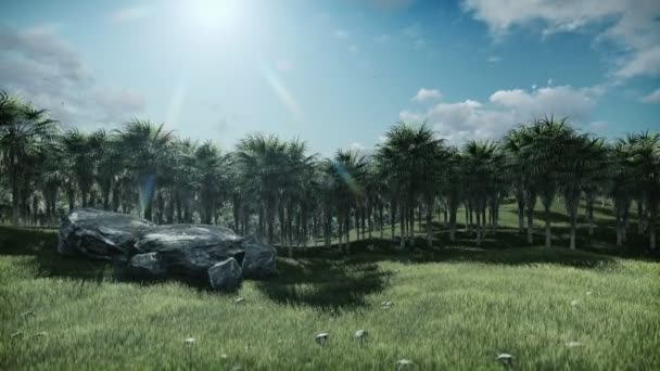油棕榈树种植园，打击游戏中时光倒流云，倾斜 — 图库视频影像