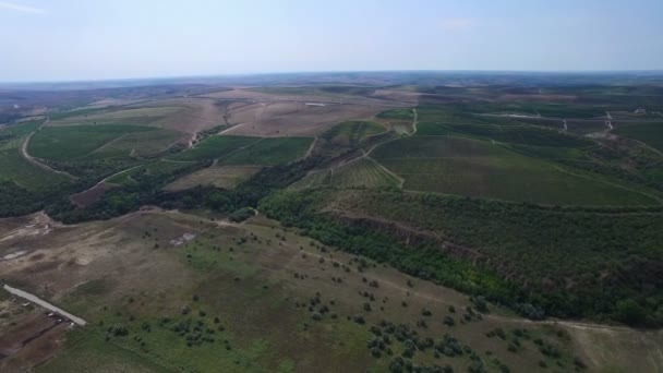A légi felvétel a Duna és a szőlőültetvények között, a cernavodai, Románia — Stock videók